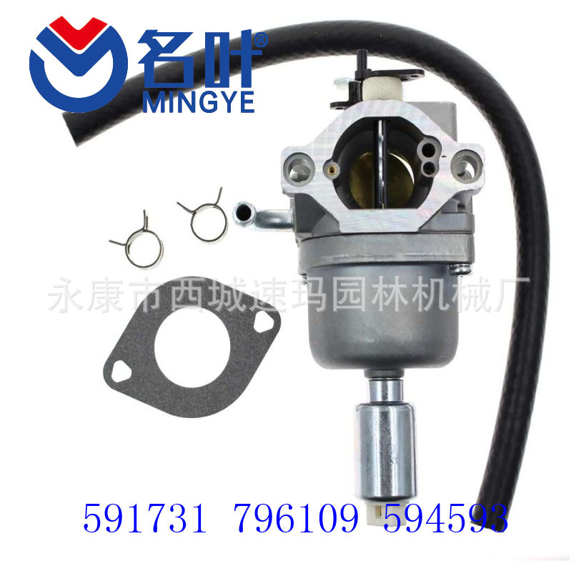 591731 Carburetor Fit for Brig