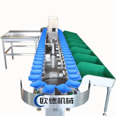 自动化水果分选机 蓝莓智能称重分选机 柠檬百香果分级设备工厂