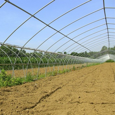 农用育苗花卉冷棚安装简易 薄膜大棚加工春秋冷棚单体插地棚拱棚