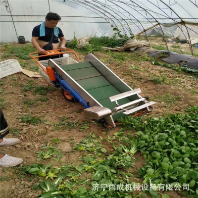 手扶电动收菜机 可装框蒲公英收获机 自走式内燃式收菜机 图片