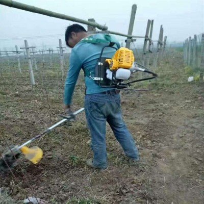 汽油背负式割草机 侧挂式打草机 小型割灌机生产厂家